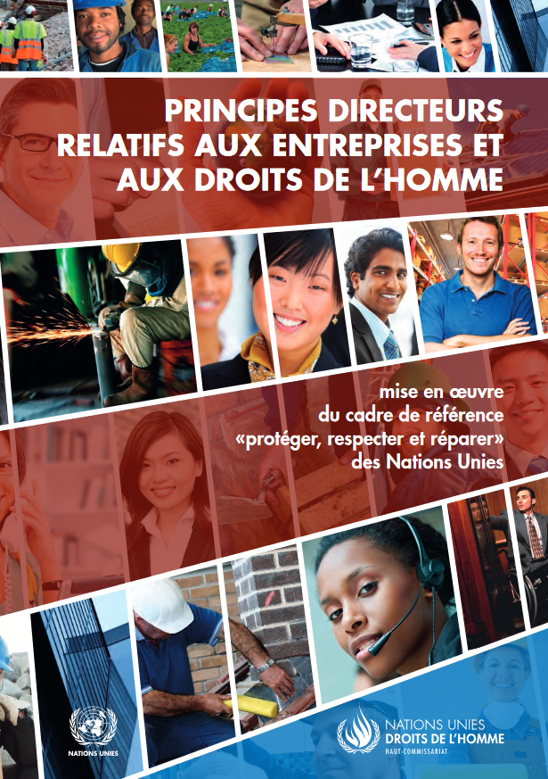 Principes directeurs relatifs aux entreprises et aux droits de l'homme (Pdf) - Nouvelle fenêtre