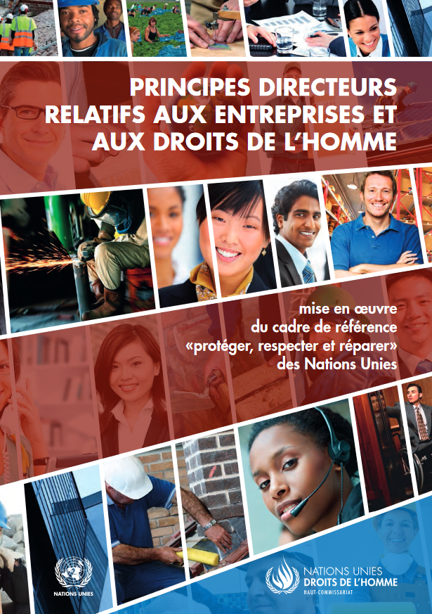 Principes directeurs relatifs aux entreprises et aux droits de l'homme
